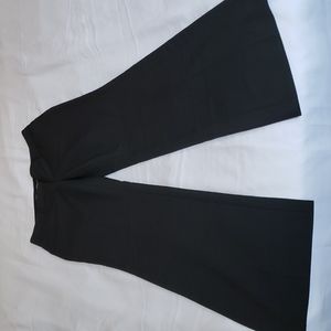 Express Design Studio Editor Pants